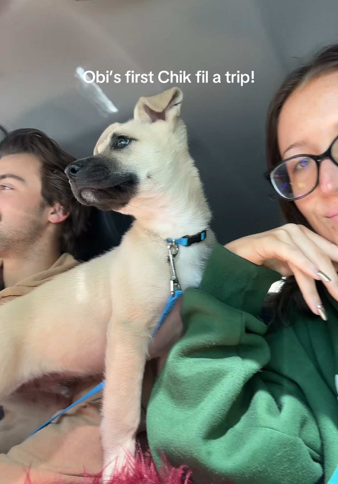 He did so good🥰if anyone knows when I can start walking him lmk!! #newpuppy #rescuedog #puppy #puppytok #puppylife #goldenshepherd 