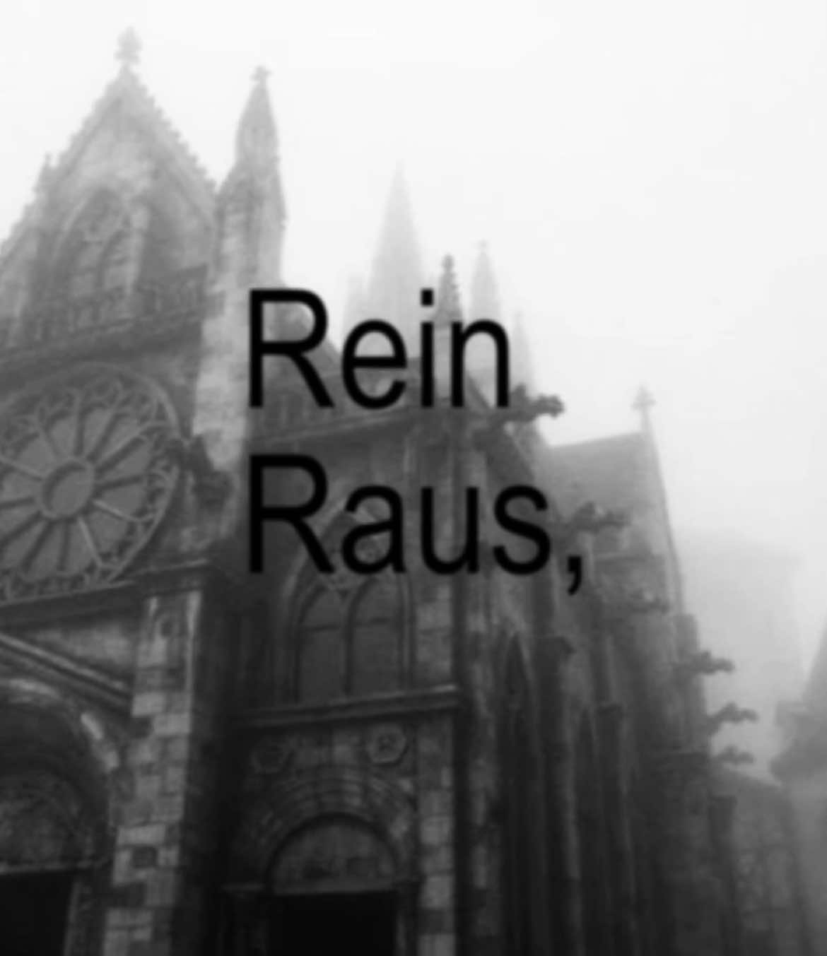 Rein raus - Rammstein #rammstein #christophschneider #flakelorenz #oliverriedel #paulanders #richardkruspe #tilllindemann #reinraus #metalhead #germanmetal #german #virał #famous #forupage #foryoupagе #virale #blowup #CapCut 