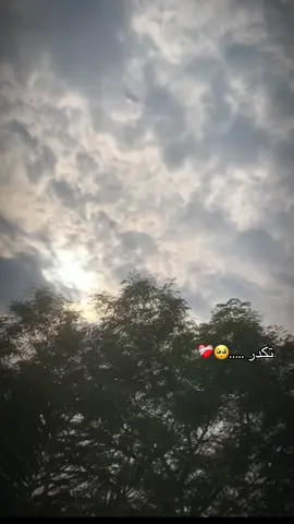 🥺❤️‍🩹#محمدالحلفي #اكسبلور #تيك_توك #لايك_متابعه_اكسبلور #الشعب_الصيني_ماله_حل😂😂 #تصميم_فيديوهات🎶🎤🎬 