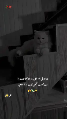 Udas Mano #foryou #foryoupage #standwithkashmir #💖💖gujjarsaab💖💖 #940groupwala #viewsproblem #unfreezmytiktokaccount #fypviral #sadpost #poetry #shayri #viral #fyp 