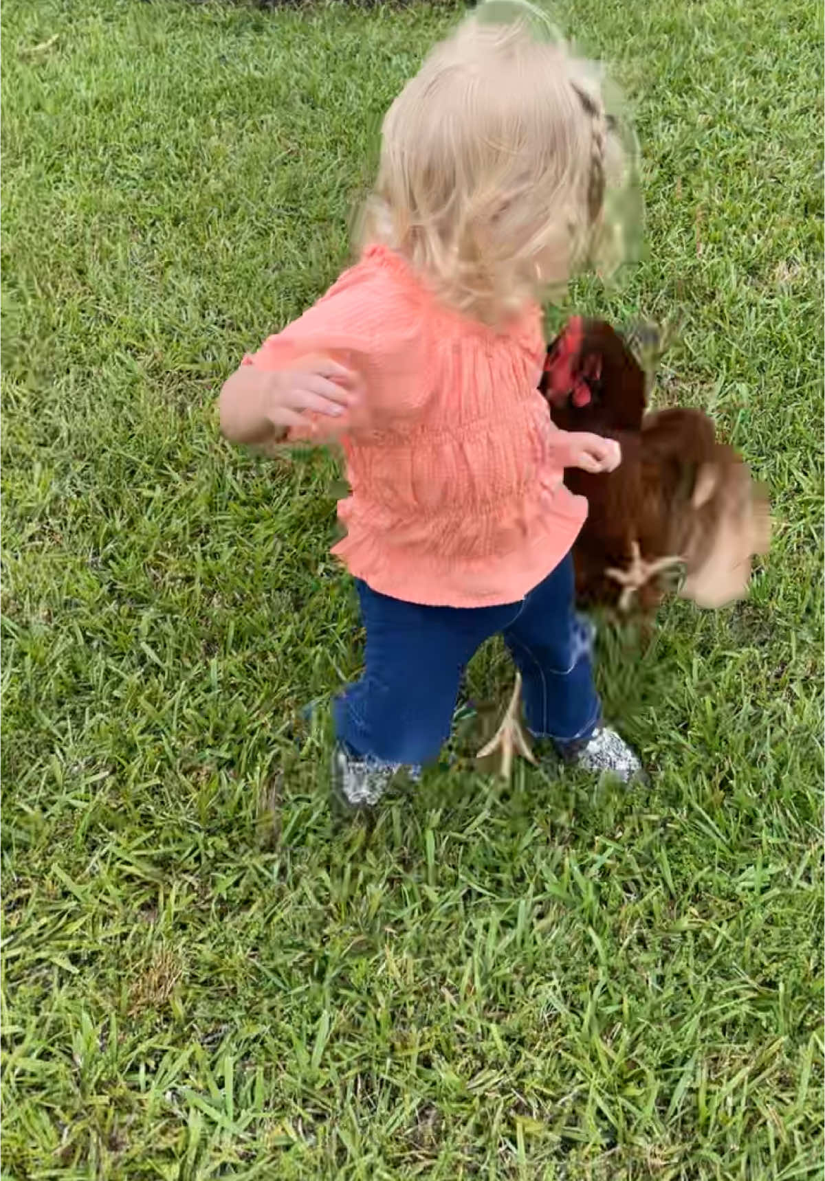 When chickens attack😅 #momfail #chicken #chickens #chickenattack #animals #farm #fail #fyp #foryou #mothersday #momlife #parentingfail #parenting #oops #humor #comedy #funny #funnyvideos #chickfila #kfc 
