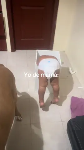 Yo