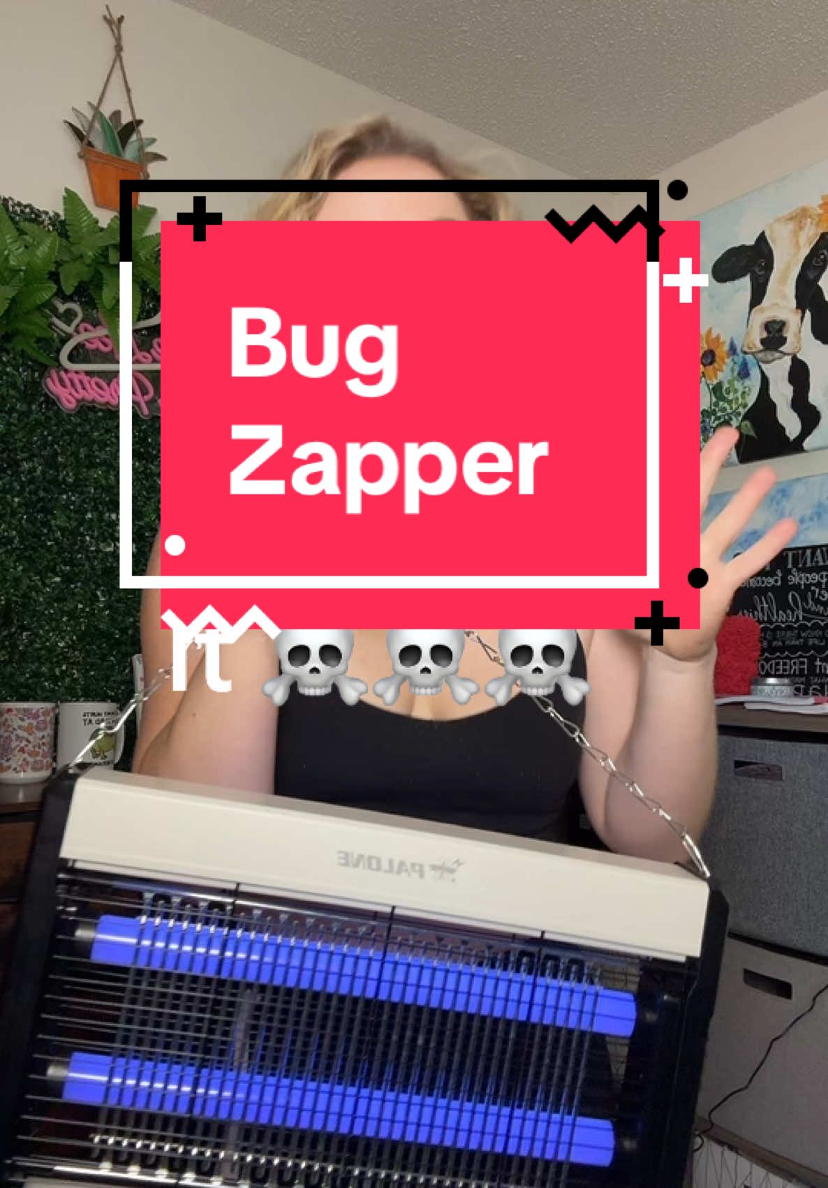 Bug zapper #bugzapper #ifitfliesitdies 