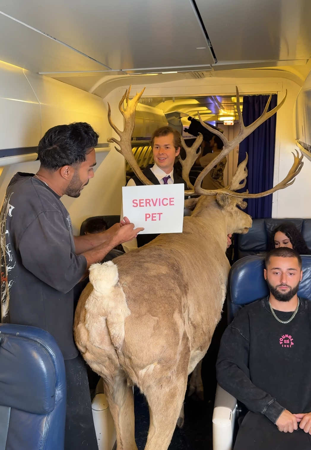 Boarding with a service animal @mattandjustusofficial 