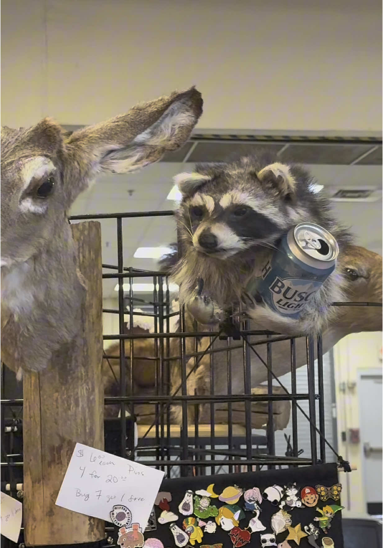 W.O.E was amazing. So many cool vendors this year! #woe #worldodditiesexpo2025 #oddities #taxidermy #bones