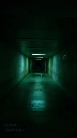 You are tired, take a rest. It's ok. Don't be afraid of excess, let the spirits haunt you with their dusty noises through these empty corridors. Are you ready for a cold trip ? 