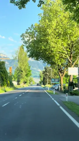 #متابعه #اكسبلورexplore #العراق🇮🇶 #سويسرا🇨🇭 #بغداد_العراق #النمسا🇦🇹 #سوريا #المانيا🇩🇪 #الانتشار_السريع 