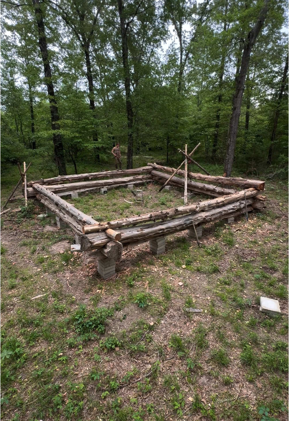 Building a Massive Log Cabin by Hand 3 MONTHS IN. This is the progress we made, im a full time student in school so I made time when I could. Im now down for the summer so we should be making significant progress soon! #logcabin #cabin #handtools #lumberjacks #camping #Outdoors #bushcraft #rdr2 #countrytactical #cabinlife 
