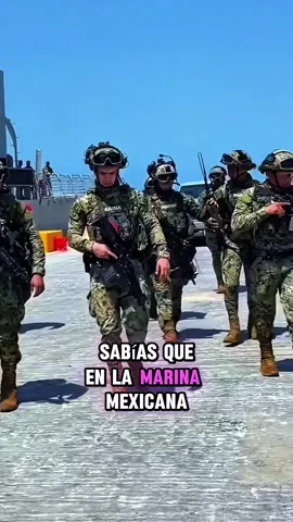 #EjercitoMexicano #VidaMilitar #FuerzasArmadas #MéxicoFuerte #HonorYGloria #EntrenamientoMilitar #MilitarPorDentro #DisciplinaMilitar #OrgulloMexicano #AsiSeFormaUnSoldado #DocumentalTikTok #RealidadMilitar #MexicanosConValor #RetoMilitar #SoldadoMexicano #ModoEjército #NoEsParaTodos #MarinaMexicana #DocumentalTikTok #DenunciaMilitar #SilencioMilitar #AbusoEnLaMarina #JusticiaMilitar #TestimoniosReales #NoEsEntretenimiento #VerdadOculta #CulturaDelSilencio Hashtags secundarios (mezcla de inglés y etiquetas más amplias): #MexicanNavy #MilitaryAbuse #BreakingTheSilence #HumanRights #TikTokDoc #HistoriaOculta #VocesQueCallaron #ReformaMilitar #StopAbuso #TikTokInvestiga
