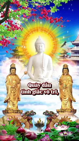 Quày đầu tỉnh giấc vô tri, Mới hay thế sự cái gì cũng sai? ---------- - Trích trong: Sám Đường Về Tịnh Độ - Giọng tụng: thầy Thích Huệ Duyên #nammoadidaphat #phatphapvadoisong #phatphapvobien #phatphapnhiemmau