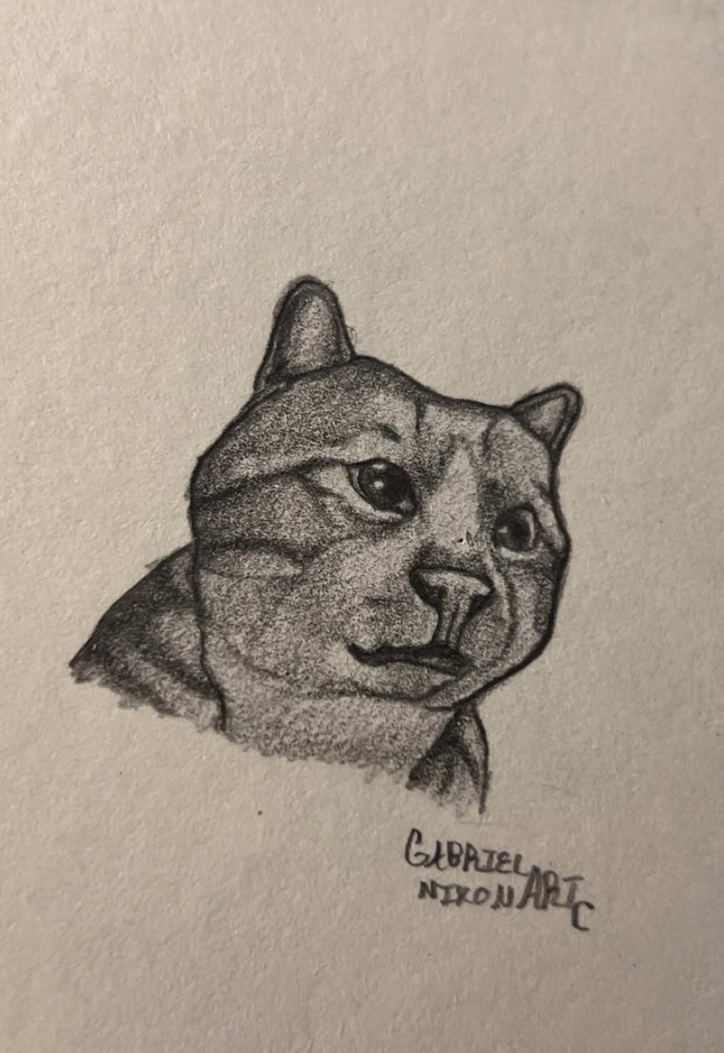 The look of pure desperation 😭🥀           Credit- catblackq/IG                     #fyp #art #sketch #drawing #cat #linkinpark #foryouuuuuuuuuuuuu 