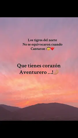 #tigresdelnorte#contenido.      #paratiiiiii🤠❤️