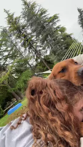 Hammock time #hammock 