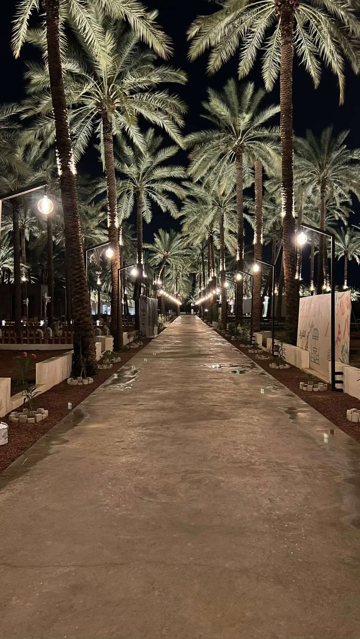 🌴 🎻 #مزرعة_وارف #نخيل #قصيد #Unaizah #fyp #foryou #tiktok #qassim #شعر #fyppppppppppppppppppppppp #fypシ゚ 