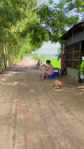 Sang ở quê co j an nấy khoi ton xiềng đi chợ an sag...mn an bắp voi e nha ,bao ngon ngot lun 🤭🤭🤭#nhachaymoingay #nhacnaychillphet #canhchill #canhdep #annhientutai #binhyen #viralvideo 