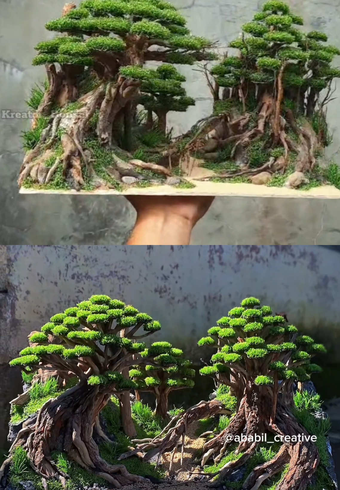 Colab sama @kreator bonsai aquascape kalau mau pesan bisa kesitu bisa ke saya sama saja, harga bisa DM/WA saja ya ! #fyp #fypシ #foryou #foryoupage #foryourpage #viral #aquascape #aquascapeindonesia #aquarium #scape #hardscape #aquascaper #hardscapejungle #aquascapers #bonsaiaquascape #bonsaiindonesia #bonsai 