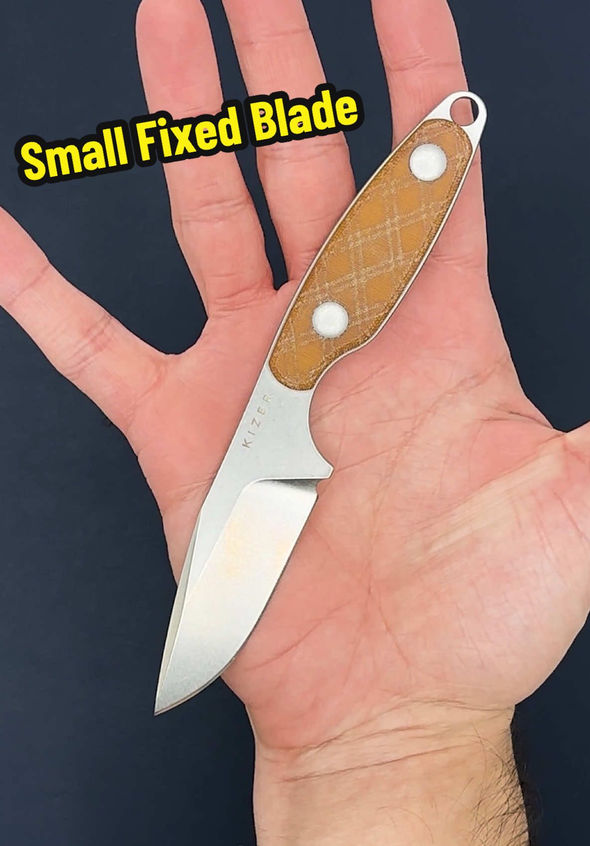 The Kizer Muskrat is a perfect small everyday carry fixed blade. 3.15” blade made from 154CM, Micarta handles and weights only 2.35oz. Nice forward finger choil offers really good grip (cutting edge comes out to about 2.6” because of that forward choil) @KIZER EDC #everydaycarry #fixedblade #Outdoors #outdoortools #kizerknives #creatorsearchinsights 