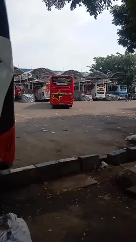bus e wes ready bolo☺️👍 #sugengrahayu #sumbergroup #sumbergrouplovers🤗🐬 #sumberselamat #patasjatim   #kumpulanvideobus #videobus #huntingbus📸 #fyp #fypシ゚ 