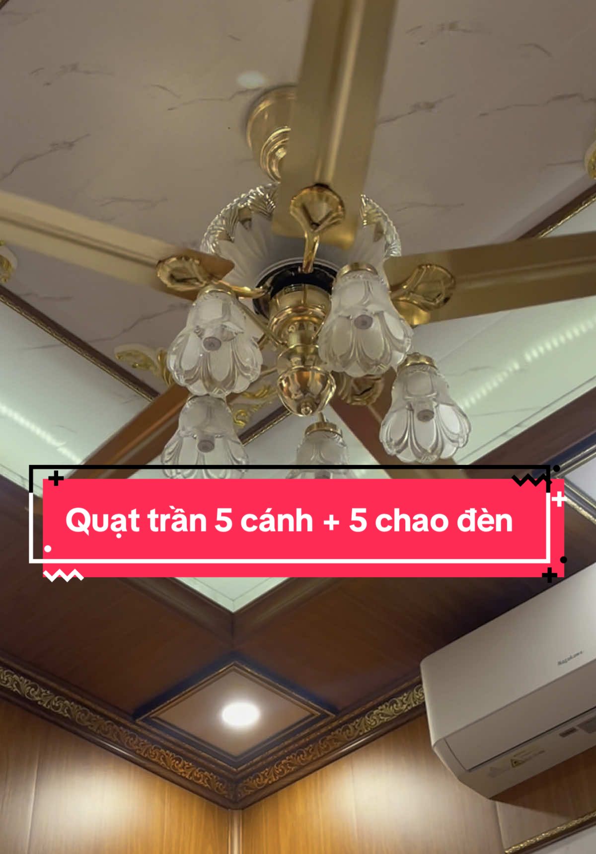 Quạt trần 5 cánh + 5 chao thuỷ tinh xoáy bóng E27 . Thân quạt có đèn . #quattranden #quattran #quat #quattrancaocap #quattrangtri #denled #dentrangtri #xuhuong #cuahanghoangtruongled 