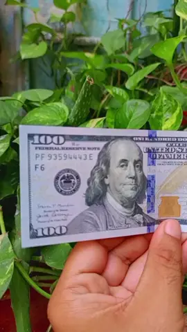 World Bank Note 100 Dollar #dollar #america #currency #banknotes #Pakistan 