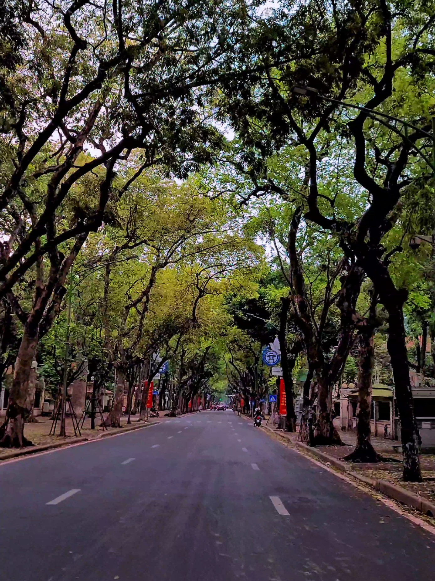 Cũng đã lâu hai ta chẳng bước đi chung trên con phố dài Cũng đã lâu yêu thương anh mang vứt ra ngoài kia Giấu em vào trong từng giây phút bộn bề Tự mình ngăn dòng ký ức ùa về Mà khi mưa lại rơi lòng anh vẫn chơi vơi Dòng tin cuối đã xem cũng đã bao lâu không ai ngó ngàng Từng con số vẫn quen sao chuyện mình đã lỡ làng Ngày dặn lòng quên mà đêm vẫn nhớ Chẳng dám thêm ai dù lòng bơ vơ Cứ lao thật vội vào mưa chạy vào ký ức xưa #hanoi #phandinhphung #vephiamua #trungquan #trungquanidol 