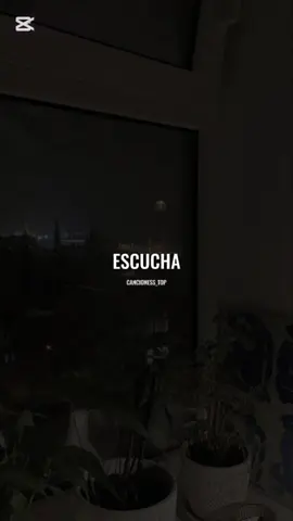 Me dijeron que te vieron por la ciudad 🏙️ #enriqueiglesias #noche #y #de #dia #escucha #temazo #rolas #video #letras #fyp #comparte #apoyo #tik_tok #LIVEIncentiveProgram #LIVERewards #PaidPartnership 