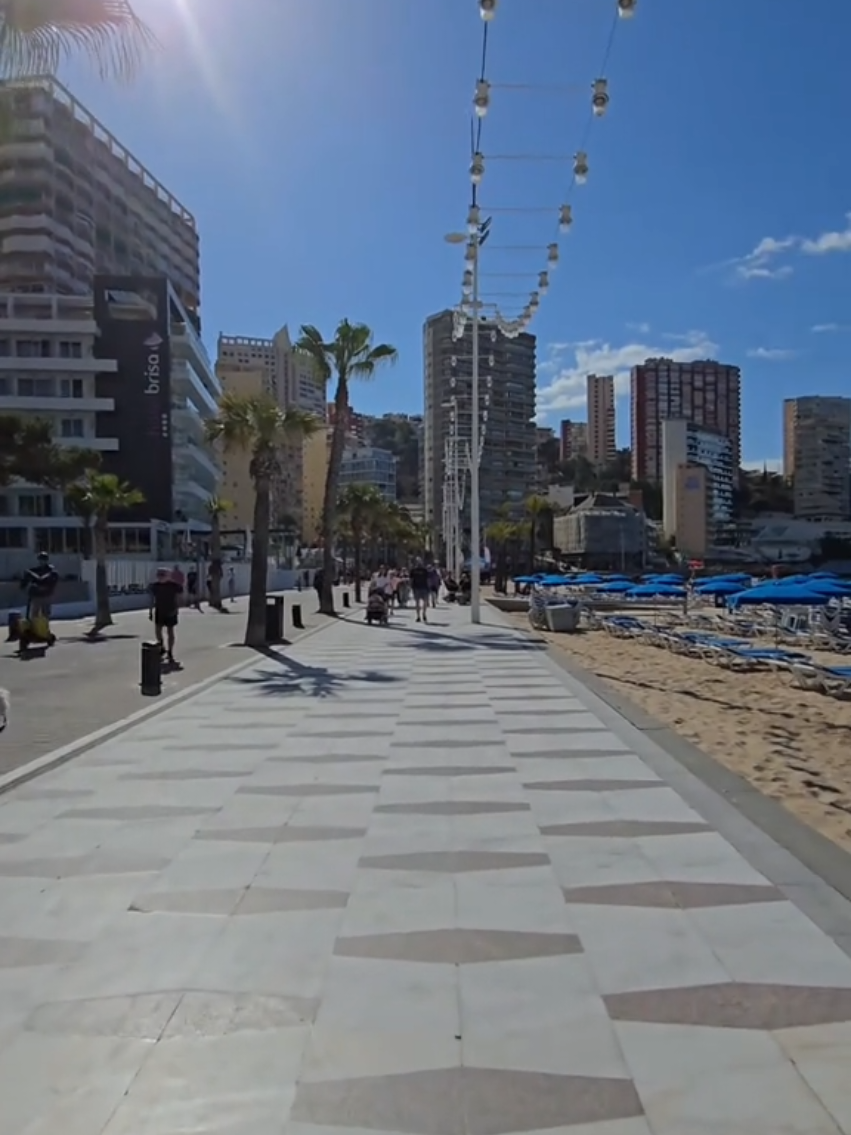 Benidorm, Spain🌞🌴 #beachvibes #beni #sun #sea #benidorm #beautifulpeople #palmtrees #spain #sunny #beachday #beachlife #españa #Summer #spain🇪🇸 #fyp #f 