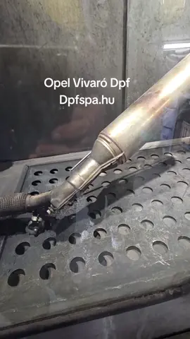 @Dpfspa 