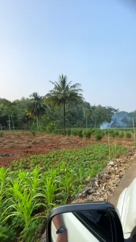 Wonogiri bagian paranggupito #wonogiri24jam #jawatengah #jhonunderground 