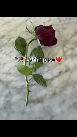 this rose is literally what the emoji was based off of 😭 😂 #rose #ahh #meme #xyzbca #livephoto #flower #trendingmemes #emoji #🥀 #relatable #fyp #foryoupage #tiktok #roseemoji #wiltingrose 