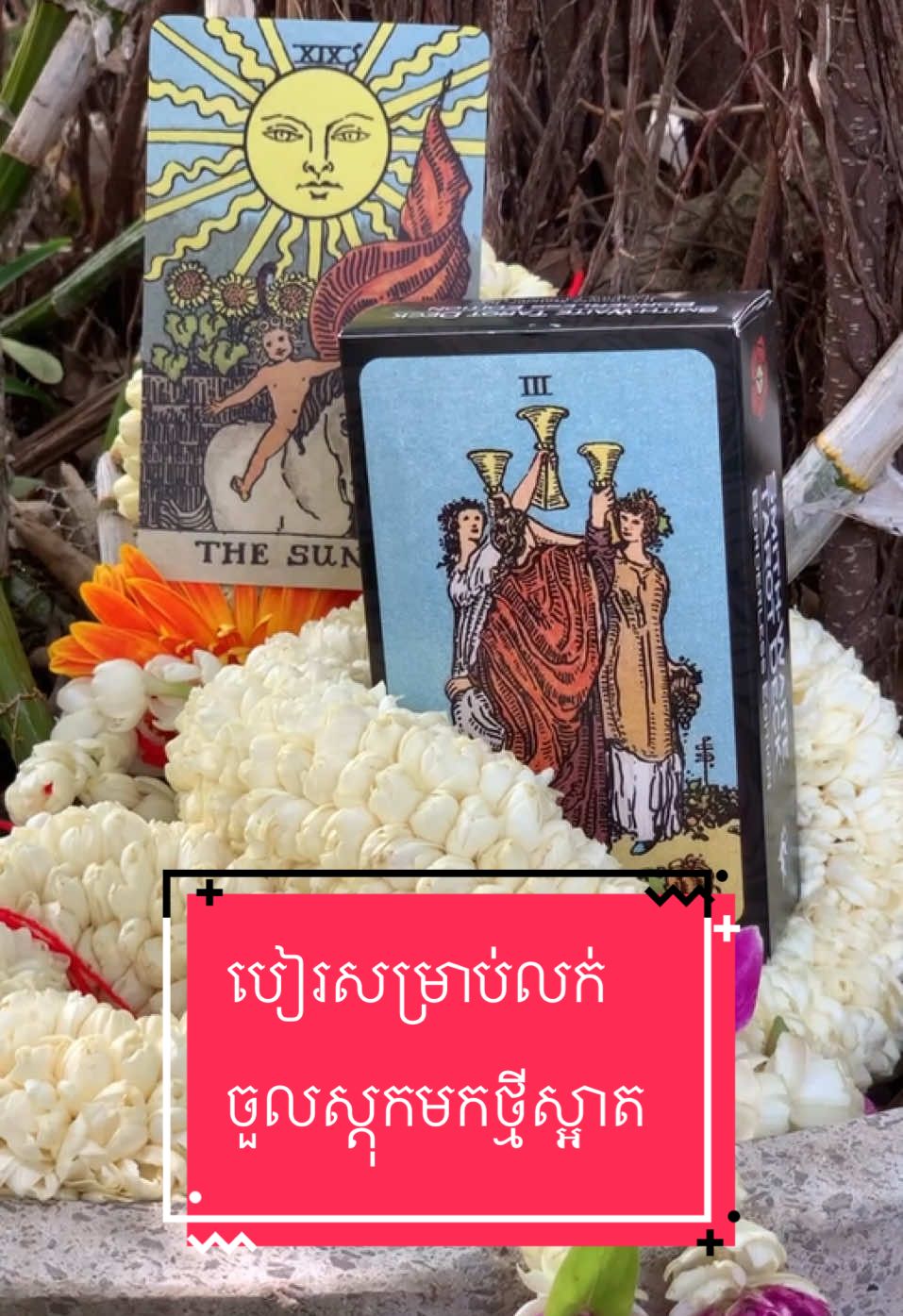 Telegram : 016215264 #vireaktarot 