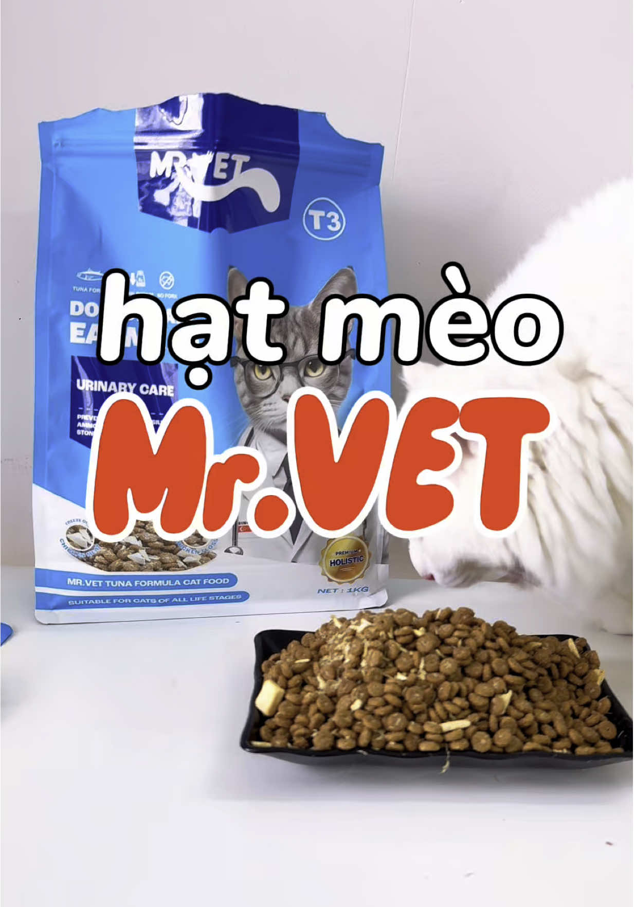 Ê mấy bà tui mới tìm được dòng hạt MR.VET T3 hỗ trợ đường tiết niệu cho mèo nè mấy bà, các vấn đề thận cho các bé mèo á 💙 #MrVet #hatMrVet #PetOur #hatchomeo #thucanchomeo #yeumeo #thucung #xuhuong #xhuongtiktok 