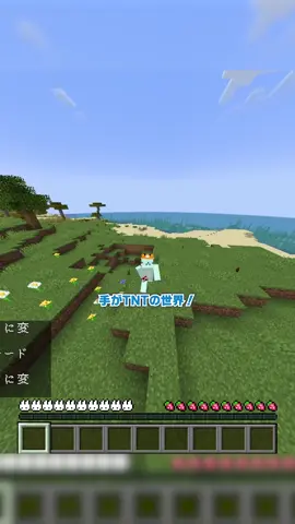 『手がTNT』の世界！【マイクラ豆知識 解説 裏技】 #マイクラ