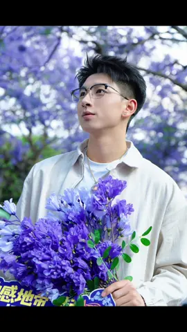 请大家看云南的蓝花楹～เอาดอกศรีตรังมาฝากทุกคนนะครับ  #BoysLostinThailand #YYDSent #InsightArtist #liuzhuojie