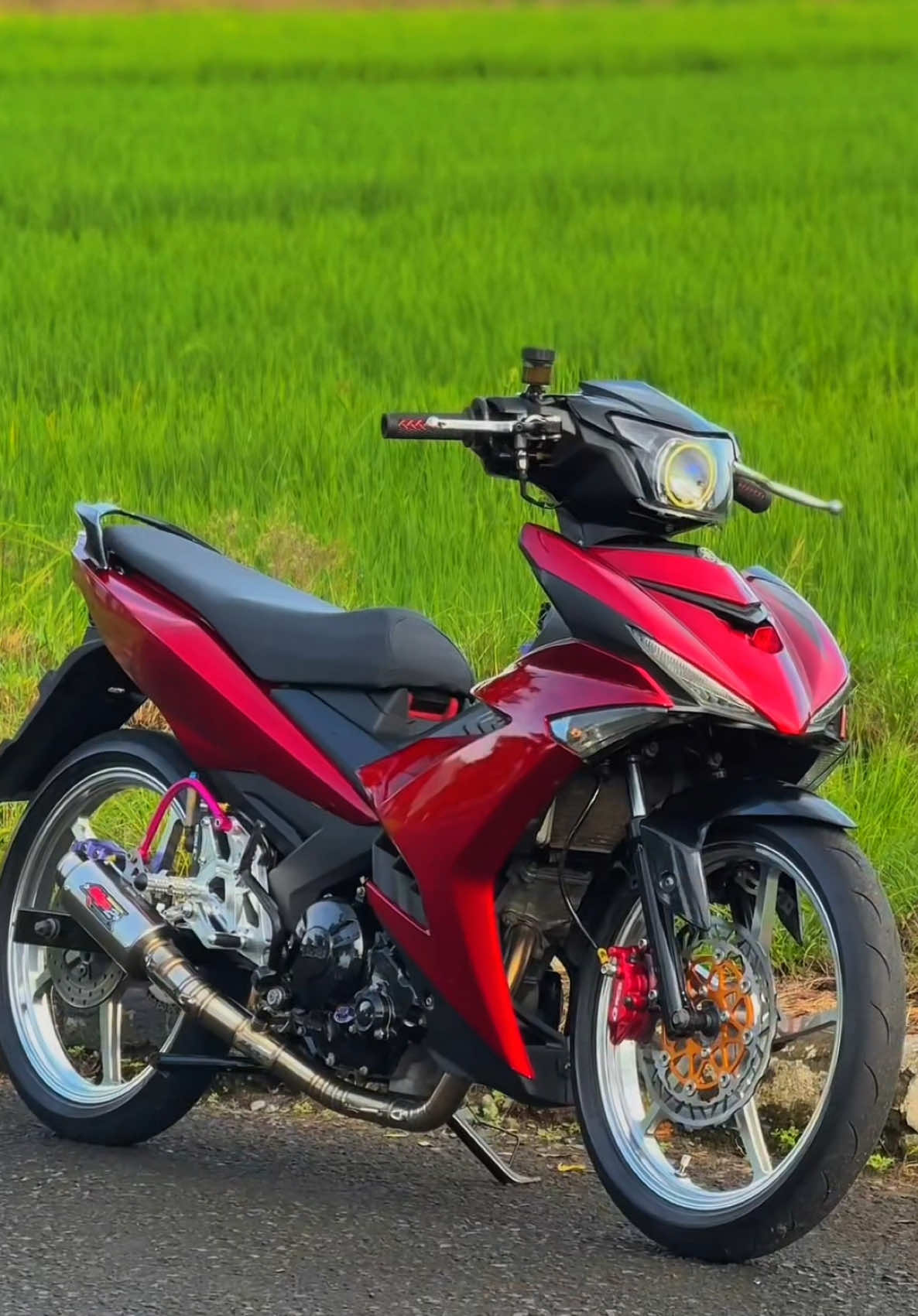 V1 kakak👺 #fyp #mxkingsolostyle #komorodindonesia #mxsoloraya #mxking150 