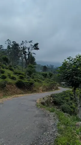 #onemillionaudition #srilankan_tik_tok🇱🇰 #nature #srilanka #viralvideo #trending #video #viralvideo 