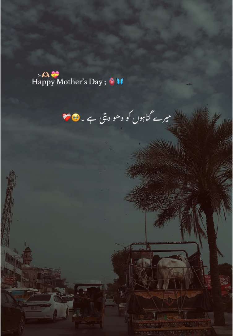 Love you Ami Jan 🫀🫠🦋💐•#asthetic #viral #video #foryou #foryoupage #poetry #poetrystatus #grow #account #yousaf_vibes 