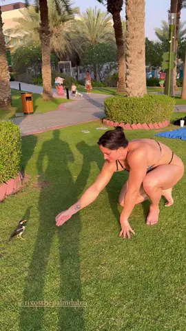 #shape #cavalona #fbb #musclemommy #musclewoman #musafitness #fisiculturismo #muscle #musclegirl #gym #academia 