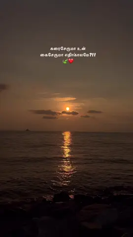 Serummaa??!!❤️#tamilsong #yaaroivan #tamilvideo #sunset #tamilstatus #tamilreel #fyp #fypage #fyppppppppppppppppppppppp #viralvideo #viraltiktok #malaysiatiktok #🌞 #fypシ゚ 