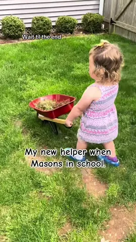 #toddlertok #yardwork #bighelper #momtok 