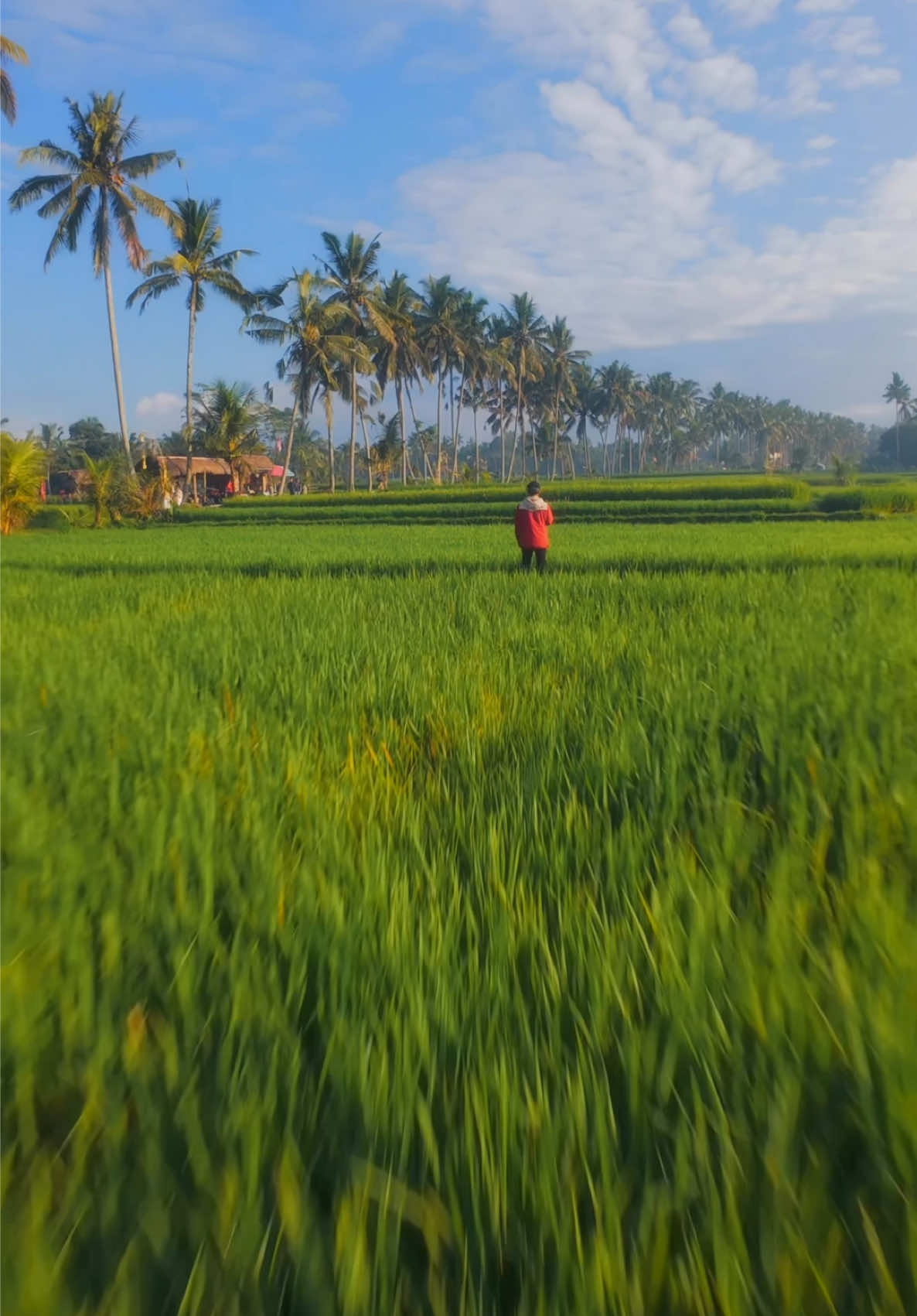 Easy Acro - 180° Drift Mode 🚀🌾 Shot on @djiglobal #DJIAvata2 (Using Motion Controller 3) 🕹️ #EasyAcro #djiglobal 