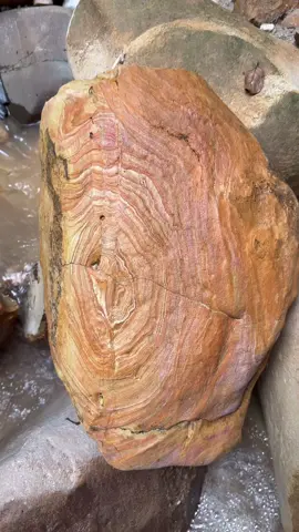Facebook,yt :amrin prospecting woow,!!! the magic striped stone can produce lots of gold.!!! strange but magical #magician #mine #GOLD #ancient