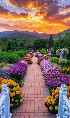 When the flowers bloom beneath a sky on fire, you know you’ve found paradise 🌺🌄✨ #SunsetGarden#NatureGlow#FlowerPath#SkyOnFire#EveningBliss#WanderlustVibes#FloralEscape#Dreamscape#MagicHour#BloomAndGlow 