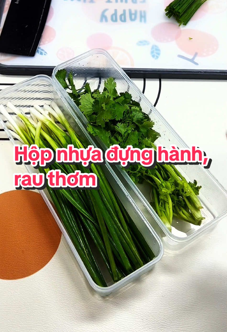 Hộp nhựa đựng trái cây, hành lá, rau thơm tiết kiệm không gian tủ lạnh #hopnhuadungthucpham #hopnhuadungthucphamtulanh #hopdungthucpham #hopdungthucphamtulanh #hopdunghanhlarauthom #giadungtienich 