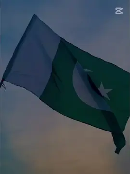 #f #foryoupage #fo #viralvideo #v #viraltiktok 