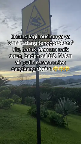 Obat yang manjur apa tolongg 🥲 #batuk #radangtenggorokan #demam 