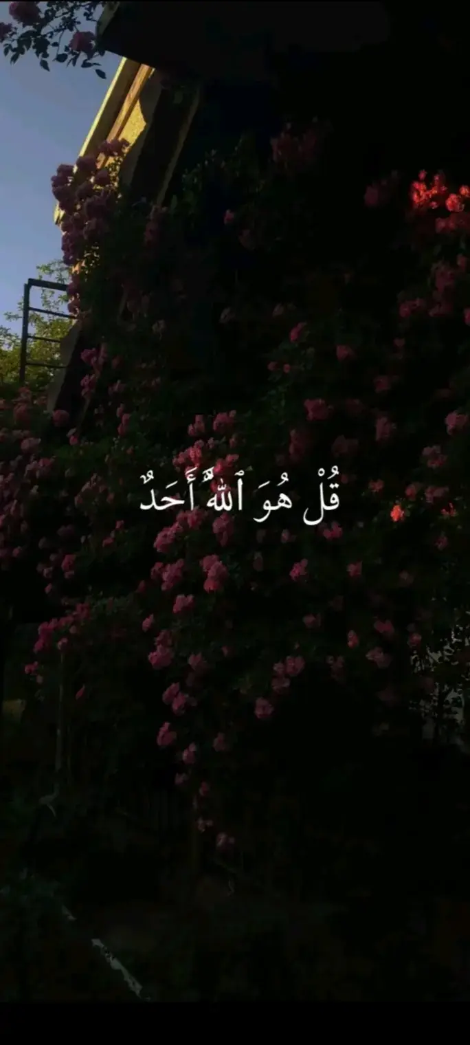 #القران_الكريم #فارس_عباد #تلاوة_خاشعة #القران #راحة_نفسية 
