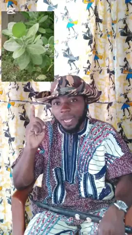 Recette, astuce pour avoir de l'argent. #DéblocageFinancier #SpiritualitéAfricaine #AirDuVerseau #PrièrePourArgent #ConseilsSpirituels #energiepositive 