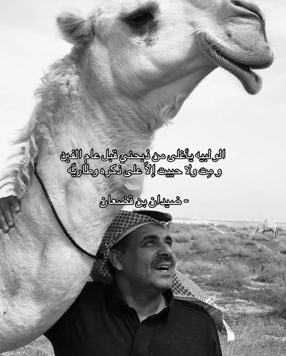 #ضيدان_بن_قضعان #fyp #foryoupage #viral #اكسبلور 