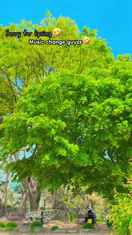 Chainejo jindagani ma ❣️#artmandu #myviralvideo #rajeevvlog #성운서🇳🇵🇰🇷 #creatorsearchinsights2025 #rajib_kanxo_rb19 #alinabohora19 #rb🤙 #fpyシ #trendingsong #trendingvideo @Alina bohora19 @bhai(비두르) 